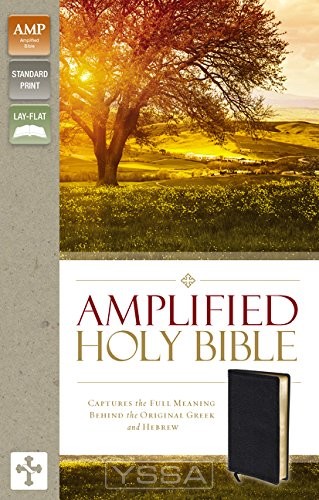 Amplified Thinline Holy Bible