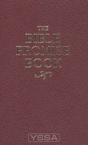 The Bible Promise Book (KJV)