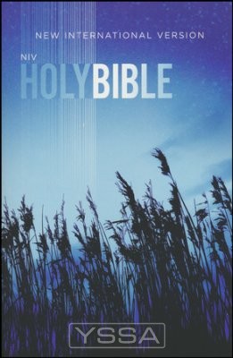 Outreach Bible - Blue Wheat