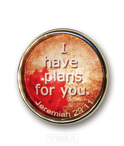 I have plans for you