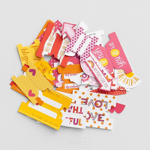 Eve's mix - Tabbies
