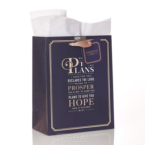 For I know the plans - 200x120x245 mm